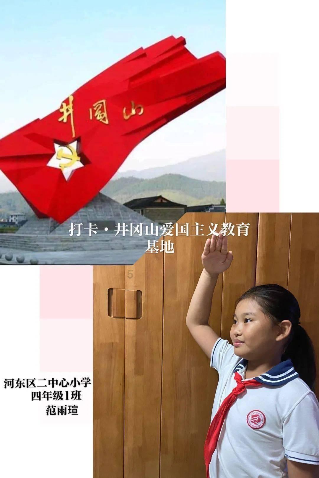哈尼和她的宠物们